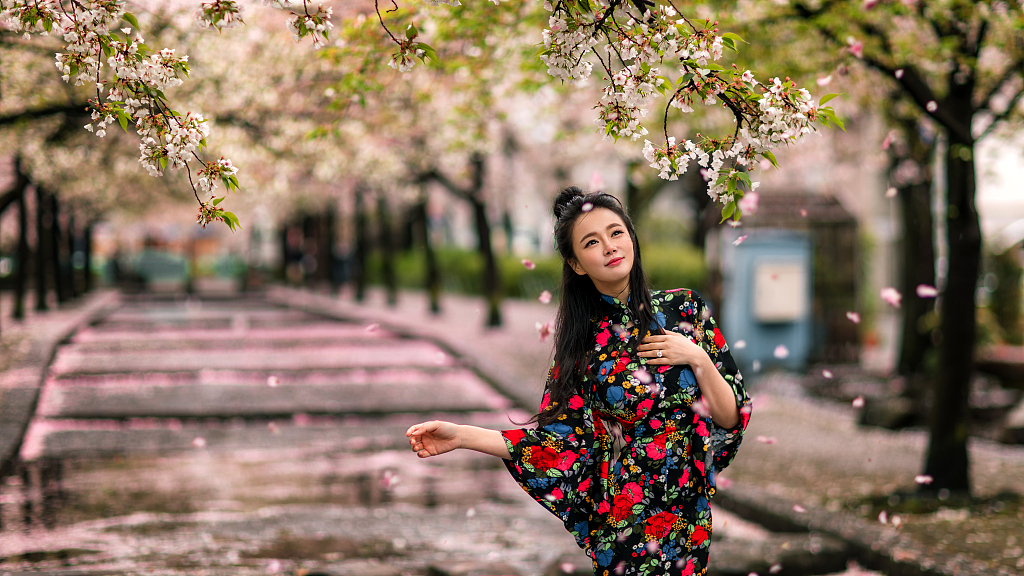 冉莹颖独自拍浪漫樱花写真身穿旗袍大秀中国风