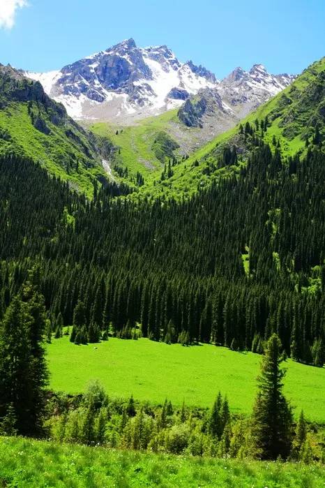 没去过伊犁,怎敢说见过最美的新疆!