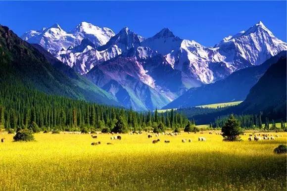 没去过伊犁,怎敢说见过最美的新疆!