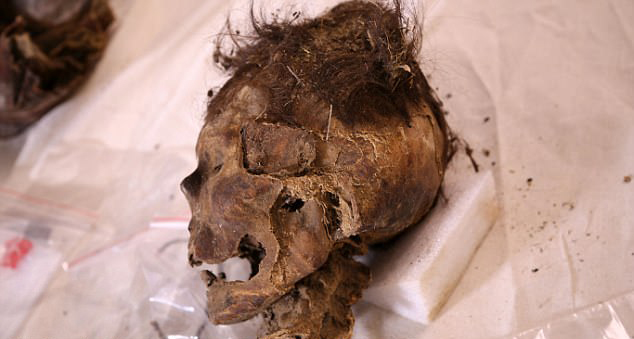 蒙古千年女尸脚穿"阿迪"引轰动 死因或为头部重伤(组图)