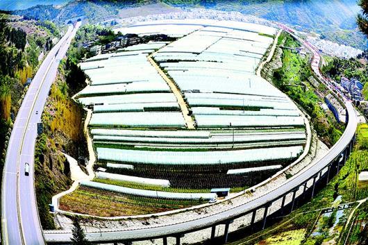 湖北日报讯 十堰市郧阳区柳陂镇挖断岗村千亩脱贫蔬菜大棚,与高速路