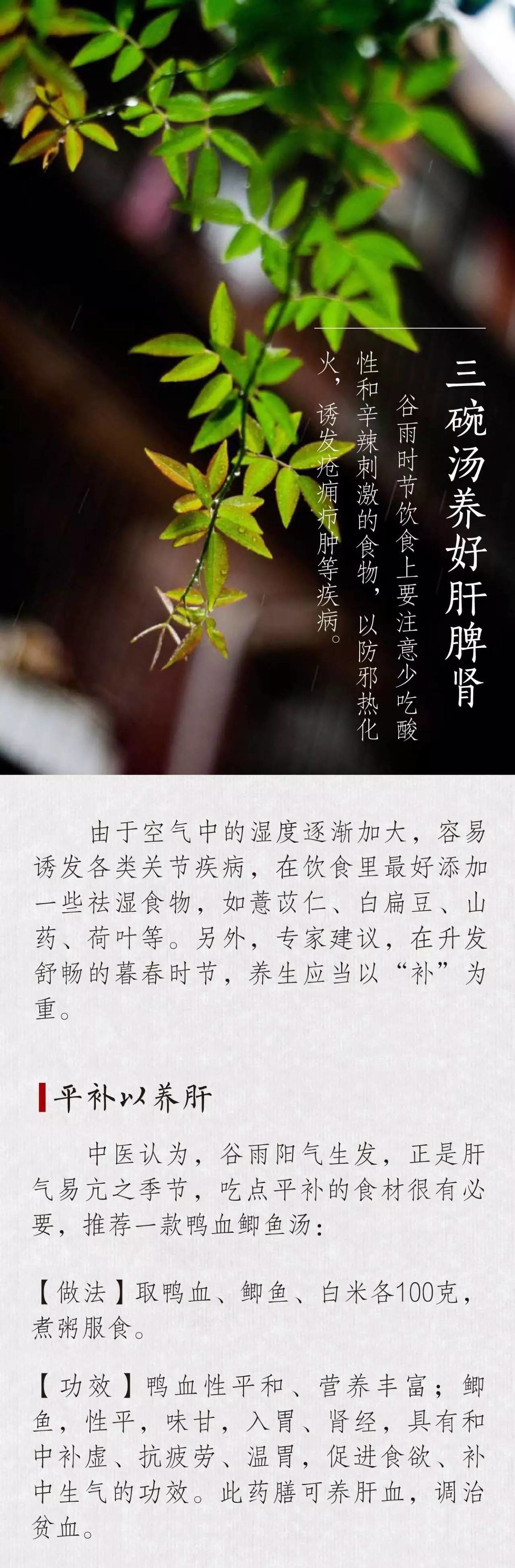 春天最后一个进补节气,老中医推荐3碗"养身汤"