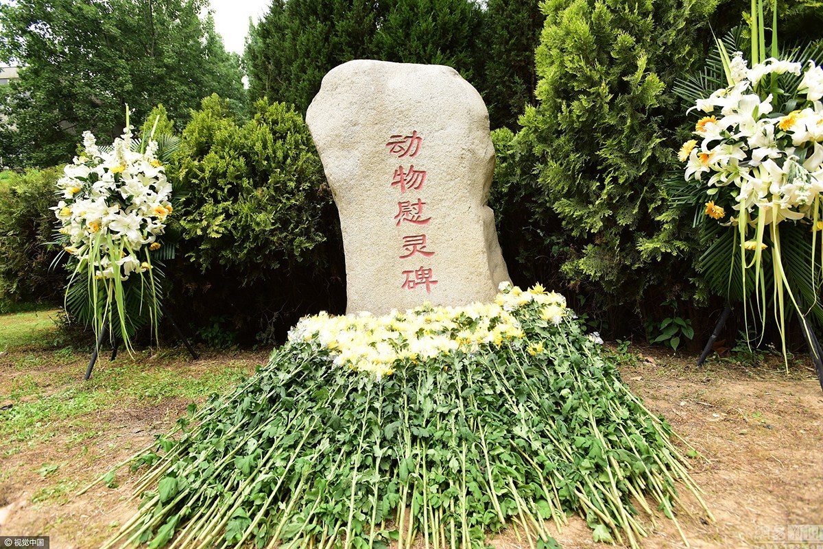 600名大学生祭奠实验动物 献花表达敬意