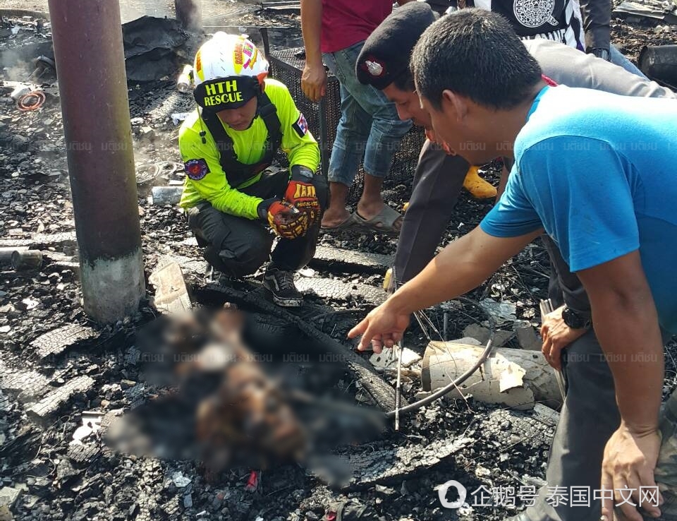 8 老太太為救7條狗衝進火災現場 被燒死