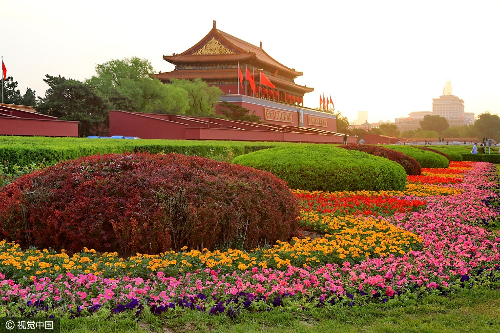 广场花红似锦,花团锦簇,五颜六色的花海把天安门广场装扮得分外的美丽