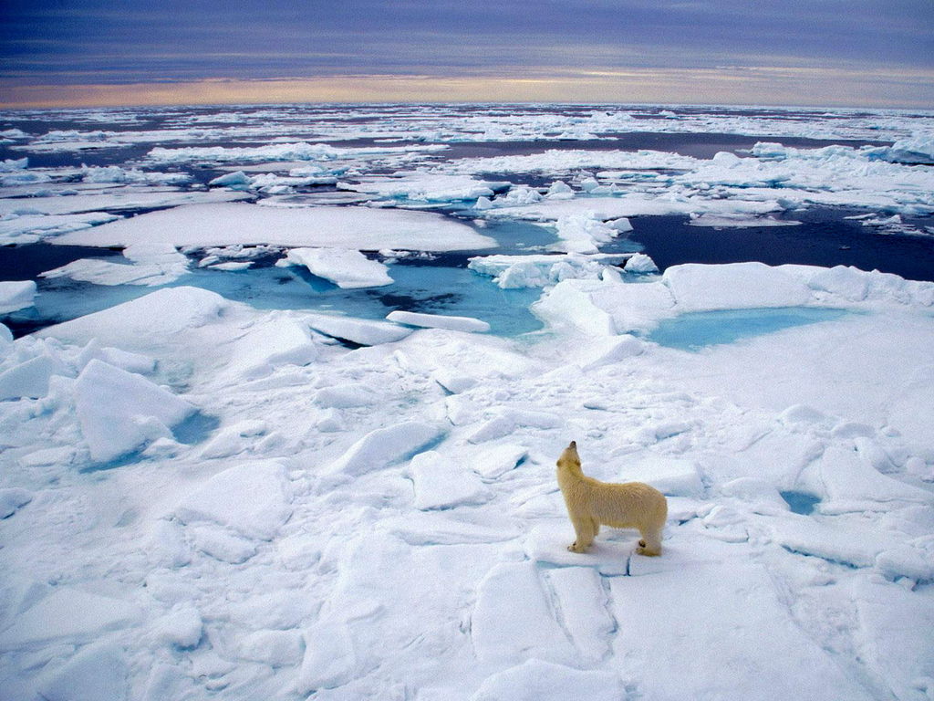 科学家观测到速度最快的南极冰川融化 - 2020年8月27日, 俄罗斯卫星通讯社
