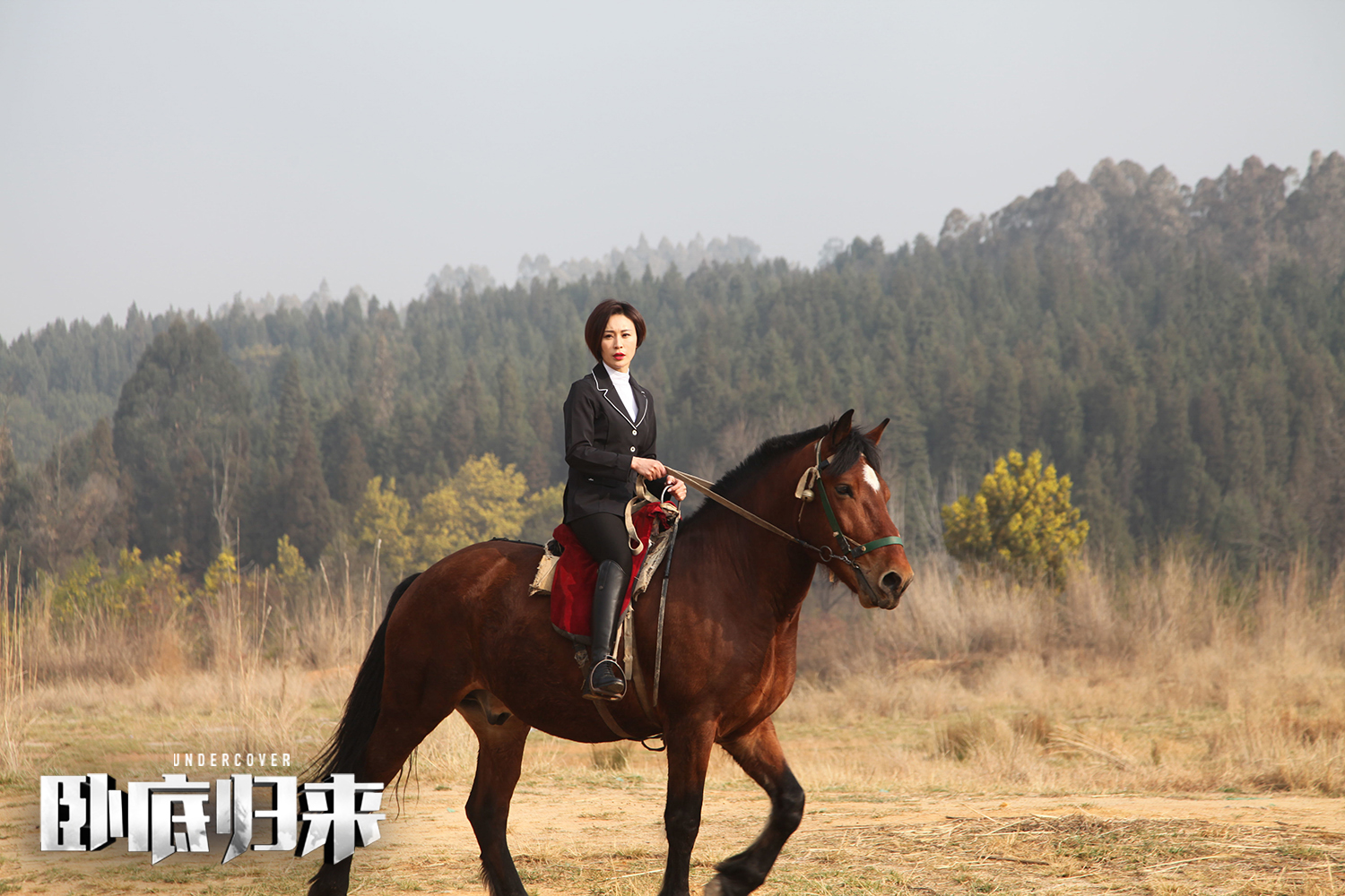 《卧底归来》收视走高 张嘉译林申最萌缉毒天团