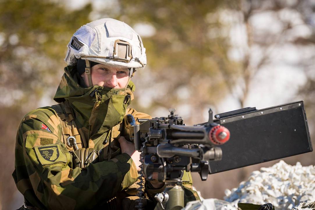 挪威军事力量图片