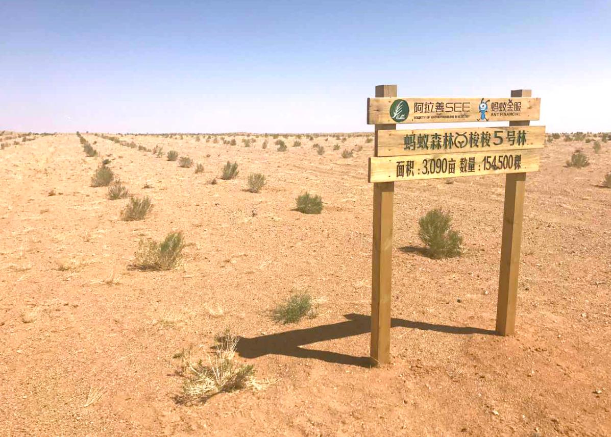 蚂蚁金服首份社会责任报告:蚂蚁森林让2.2亿人减排67万吨