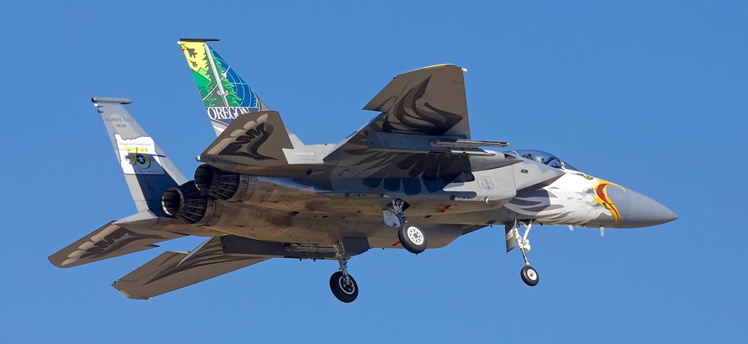 f15战机白头鹰涂装别致又霸气