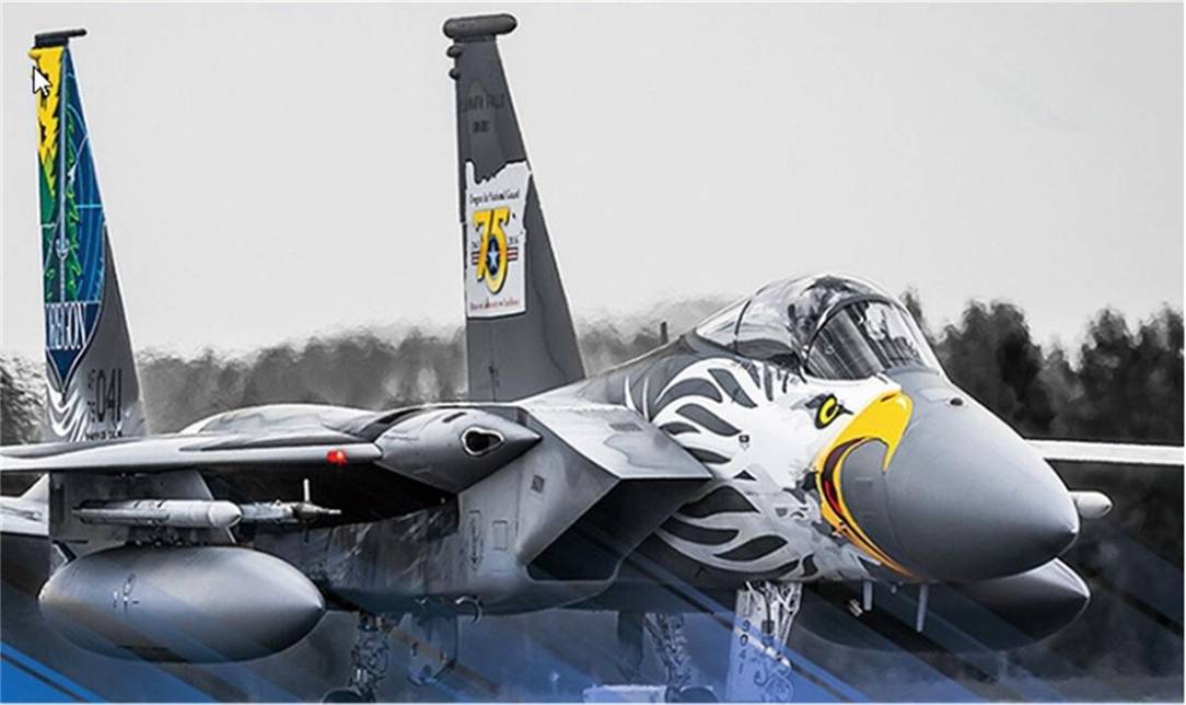 f15战机白头鹰涂装别致又霸气