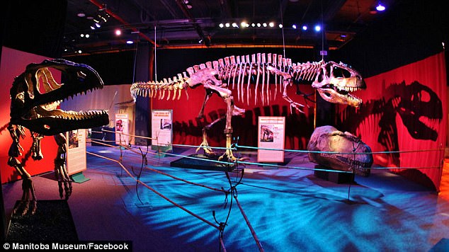 6 奇葩!加拿大一博物馆竟展出会放屁恐龙