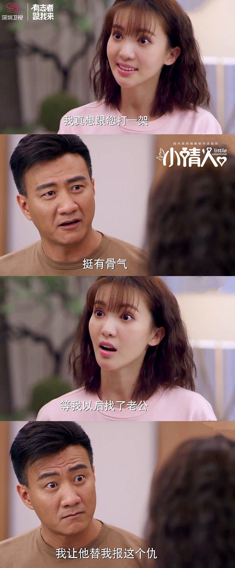 小情人今深圳卫视独播胡军金晨智斗爆笑来袭