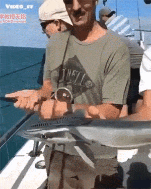 25 神奇世界看看看——第一百零三季