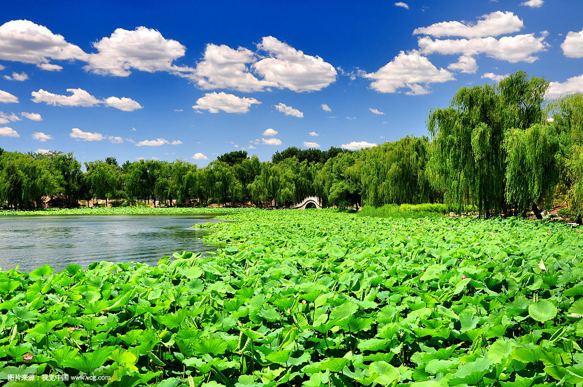 圆明园夏日景色