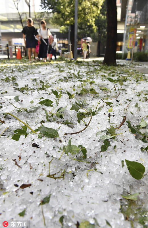 日本东京遭遇冰雹极端天气 大颗粒堆积一地