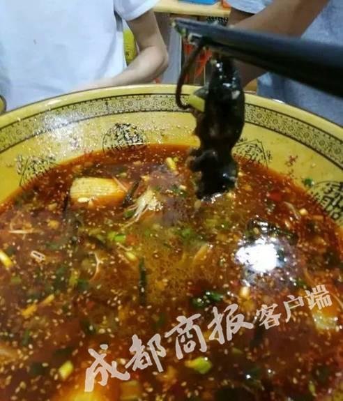 冒菜快吃完吃出一整只老鼠 顾客:连中午饭都翻了出来