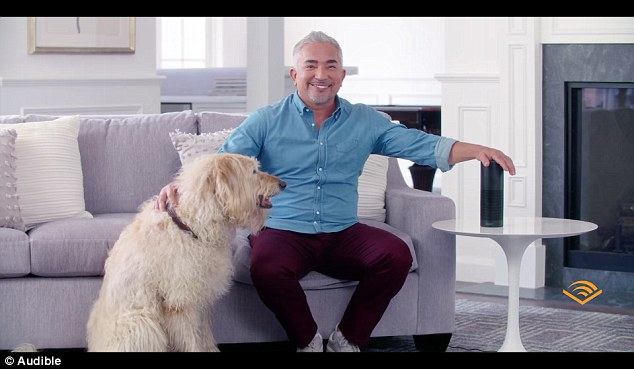 这款有声读物是由训狗师西泽61米兰(cesar millan)联合audible公司