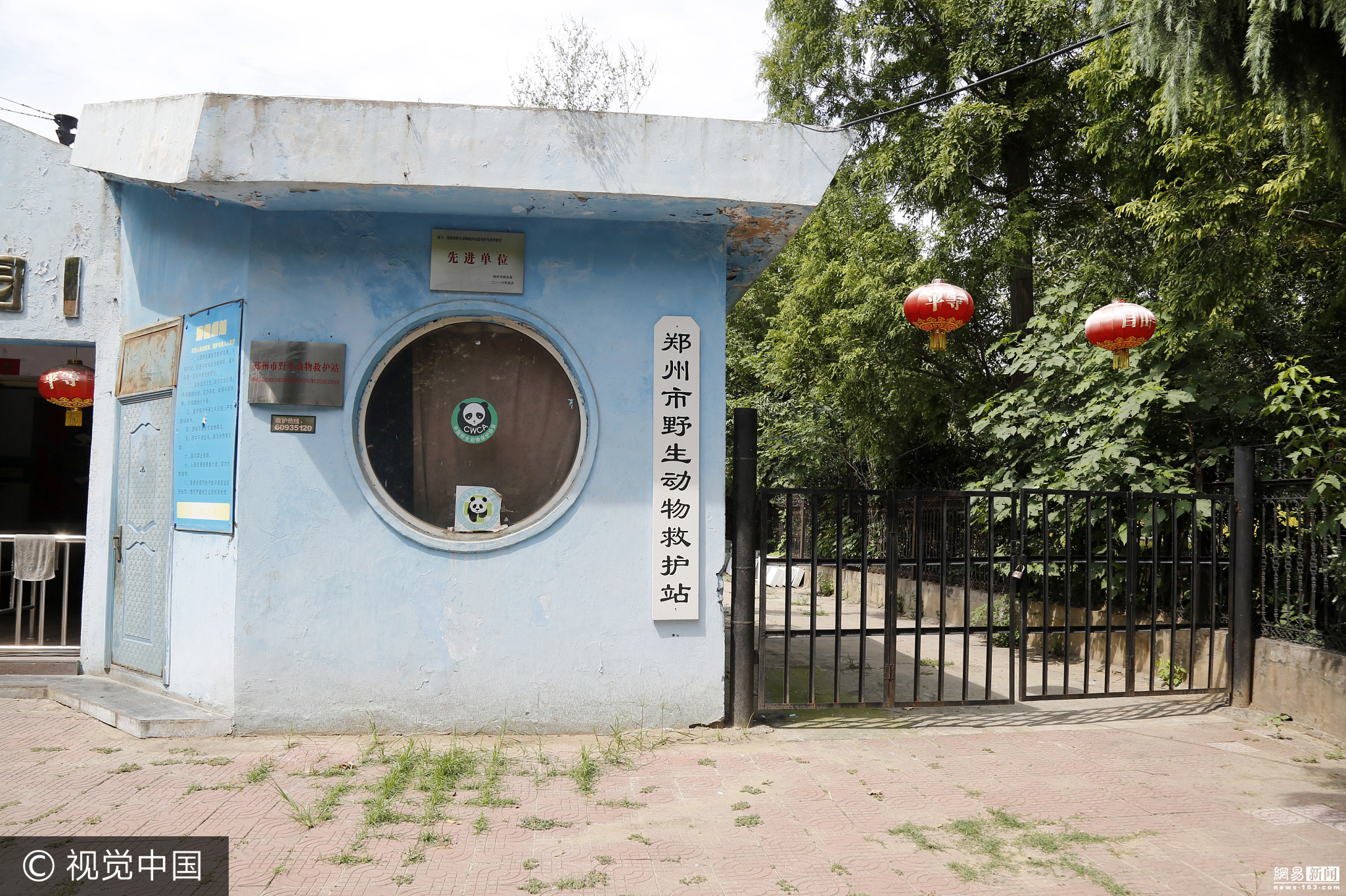 野生动物救助站"龟满为患" 多为市民弃养