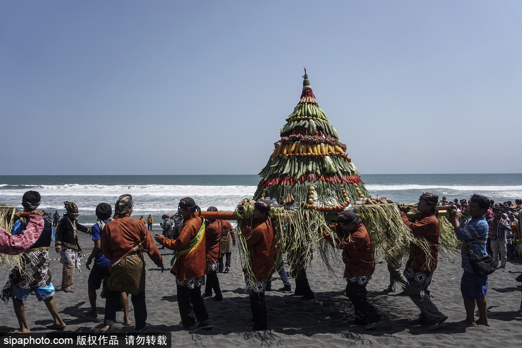 印尼日惹民众庆祝新年 民众抬羊入海祭祀