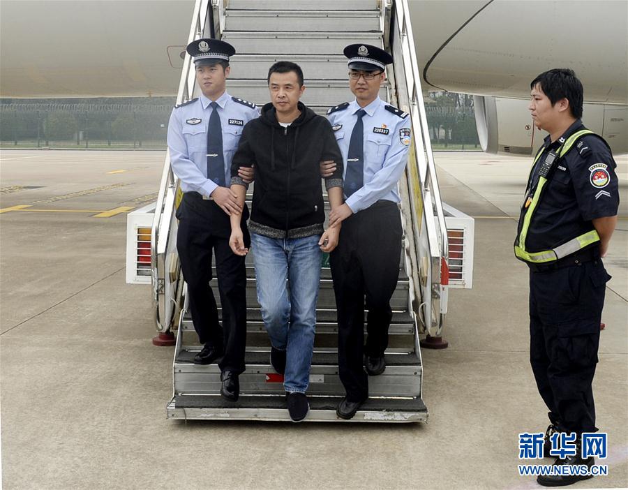 百名红通人员徐雪伟回国投案组图