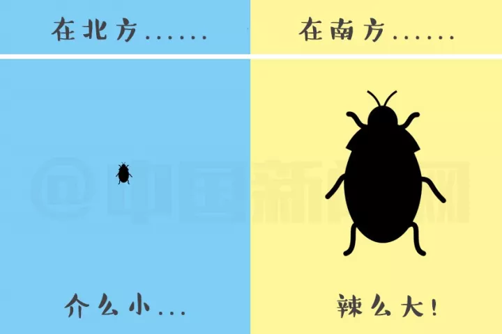 100斤白菜就给南方人砸蒙圈?这组南北差异真是无解