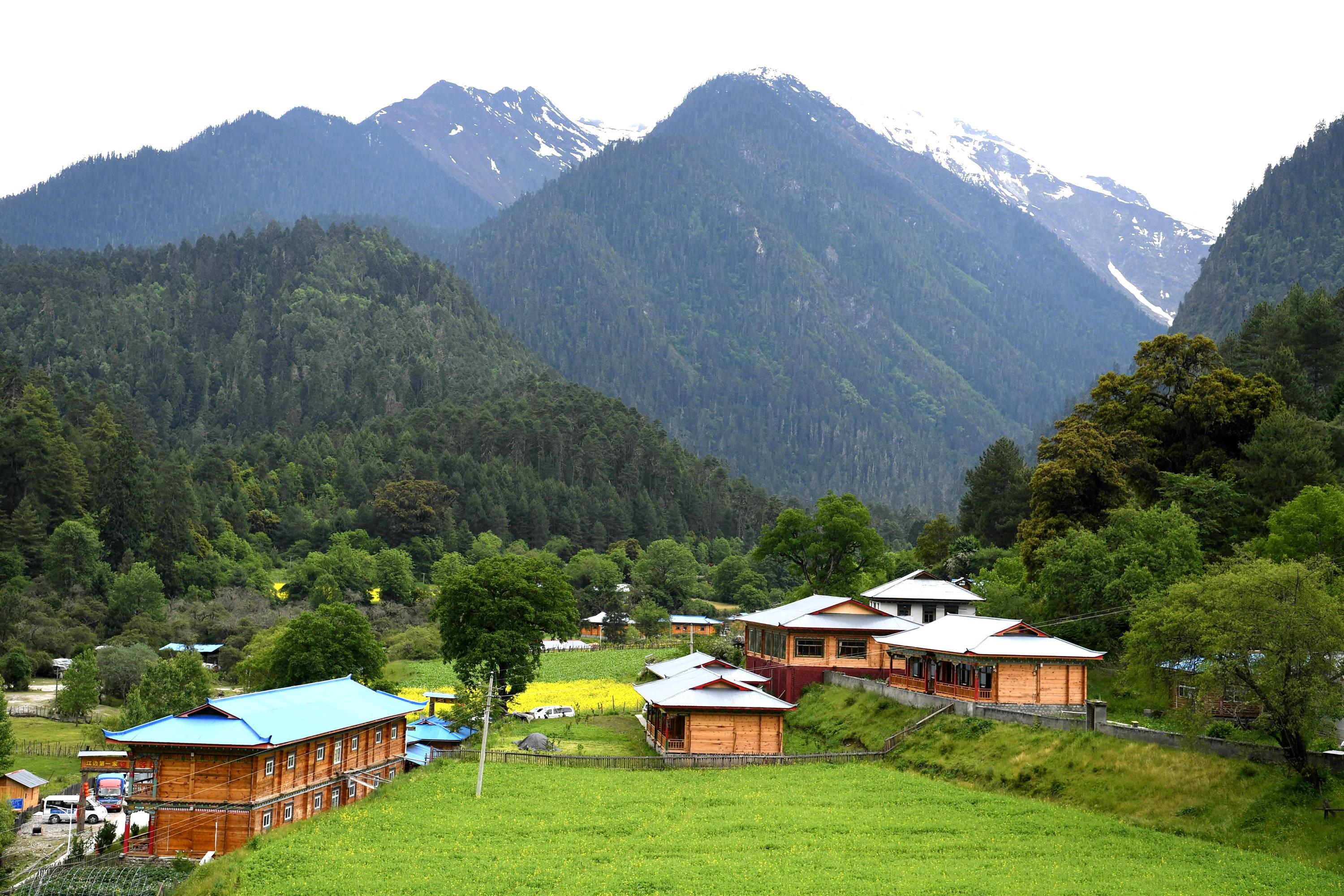 震前林芝航拍图 被称为"小江南如童话般美