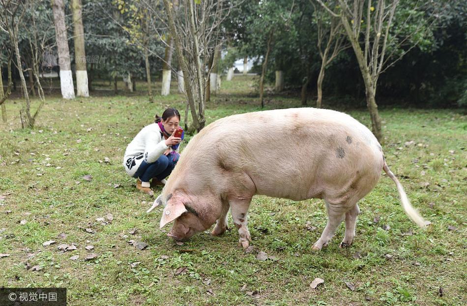 400斤"猪坚强" 独享"一室一厅"套房