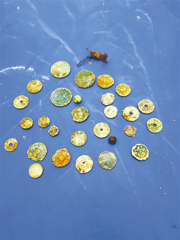 得知专家的判断,李女士直言,这株菌子他们不会丢弃,"这个东西是祖祖