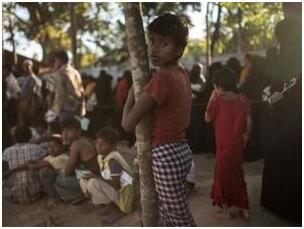 联合国报告称在印孟加拉国移民数量已减少了8