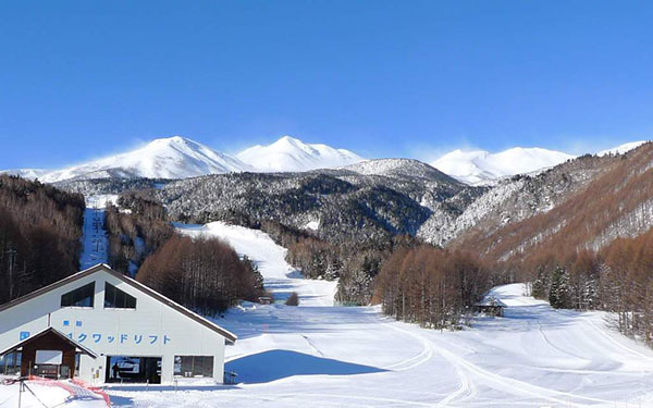 位于乘鞍岳的山脚,优质的雪质和乳白色温泉是这里的两大卖点。