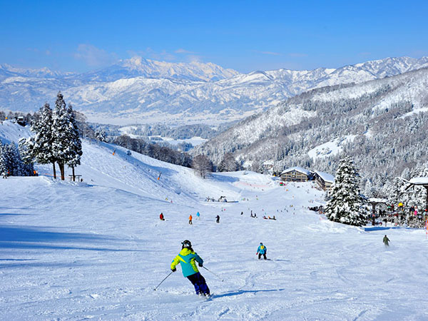 野泽温泉滑雪场规模宏大、历史悠久、雪质超群,是日本首屈一指的著名滑雪场。