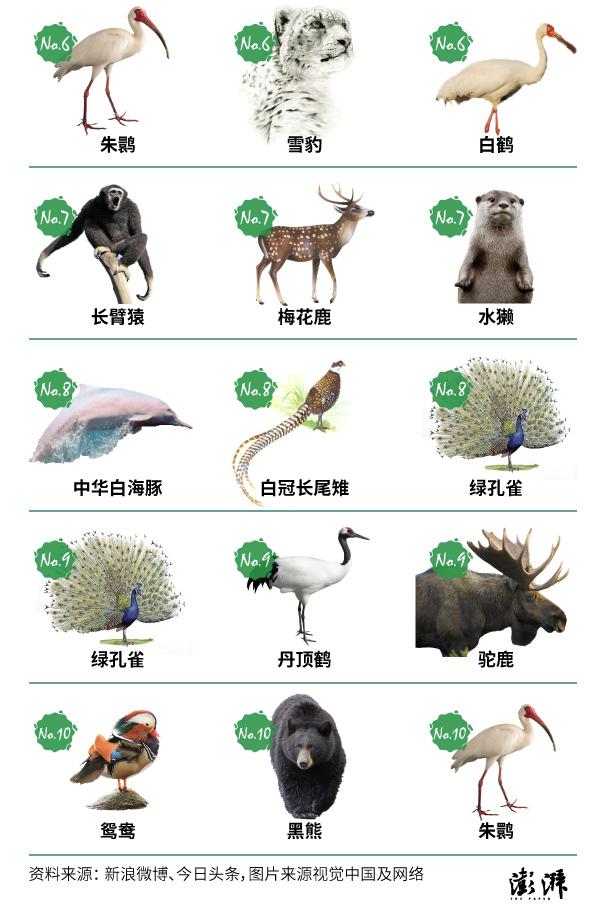 世界珍稀动物名单图片