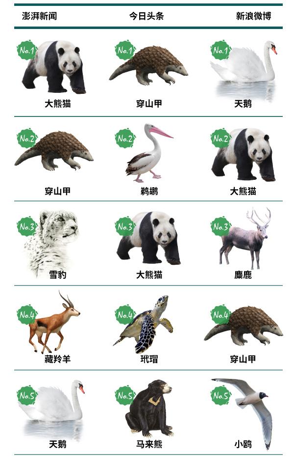 国家保护动物排名图片