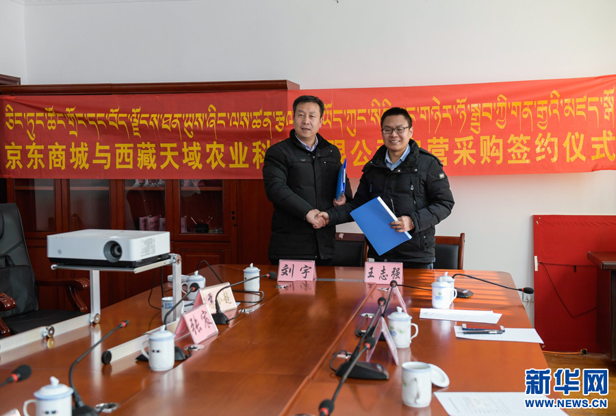 京东商城生鲜事业部肉禽冷冻运营部总经理王志强