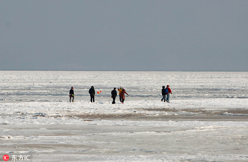 33 辽宁大连进入僵冻模式 海滨浴场速冻成极地冰原景观