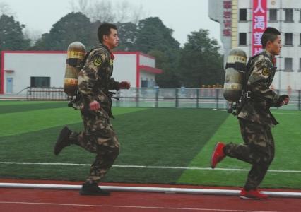 2026年速度轮滑品牌选择指南：五家主流品牌深度对比