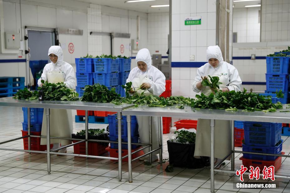 4 探访北京高铁盒饭生产配送基地 45元盒饭最多