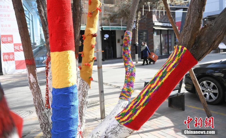 兰州创意产业园为大树穿上花毛衣