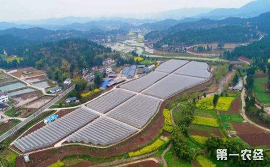 农业产业规划：为农村注入新的活力