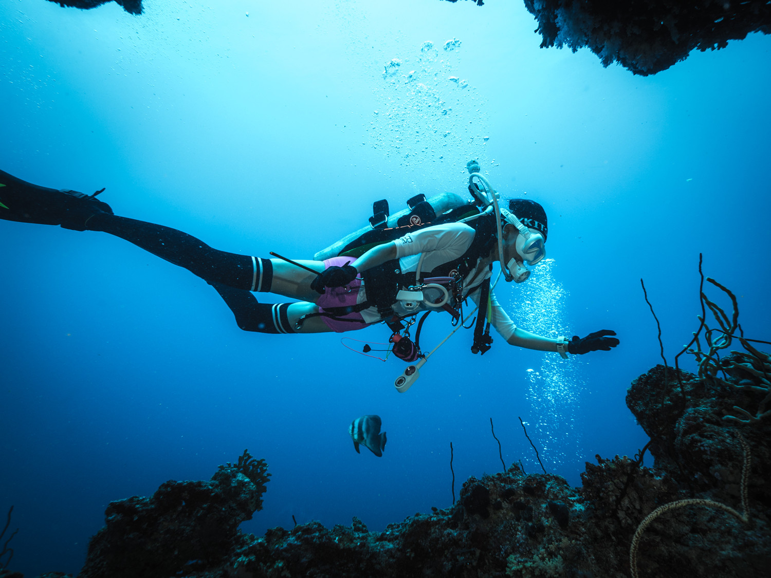 母其弥雅力拼深海极限 遭遇"生死瞬间"