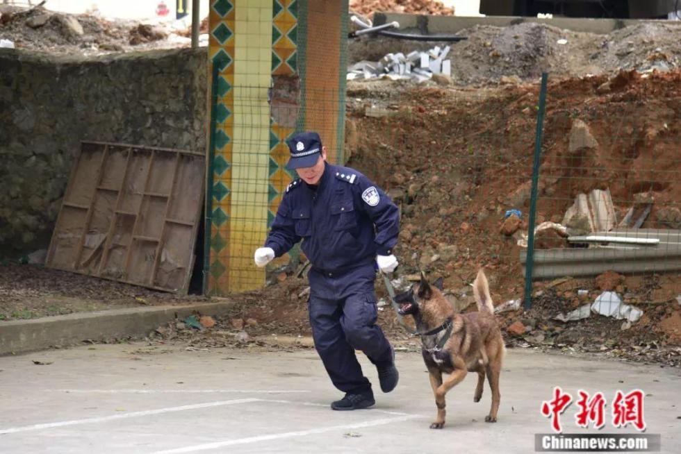 當你們在囤年貨時這些警察叔叔卻在囤狗糧圖