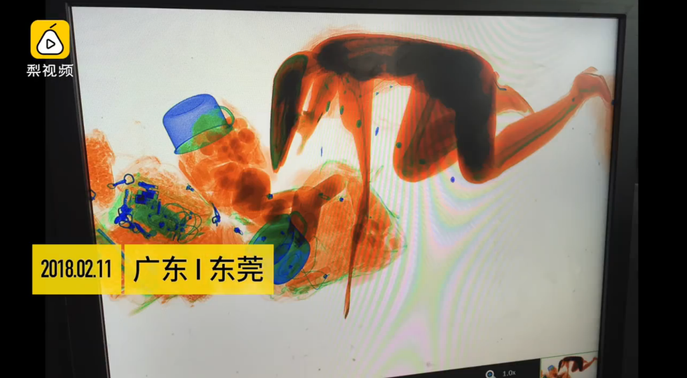 6 安检机内现人形图像 惊呆安检员