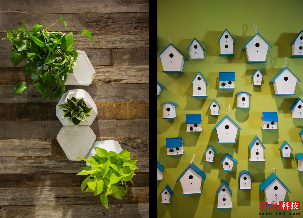 新园区          中的墙面装饰.