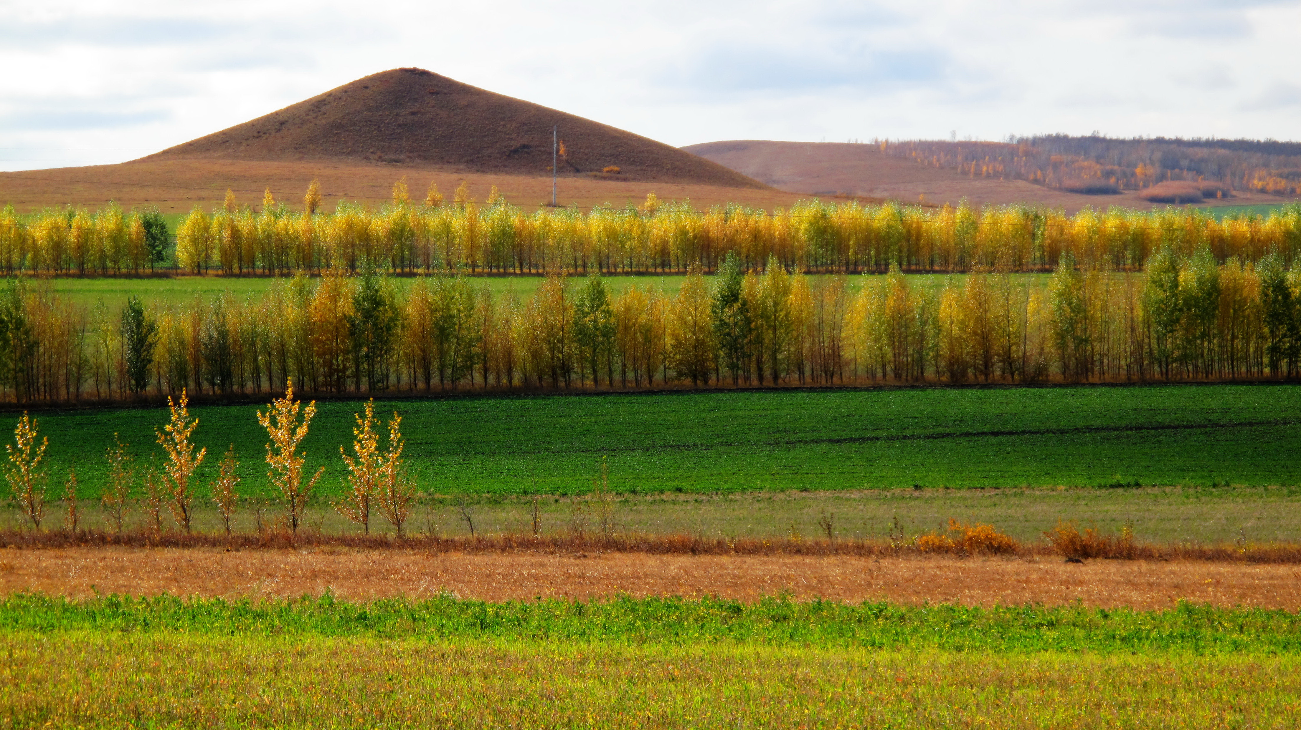 三北防护林是雾霾帮凶专家假的