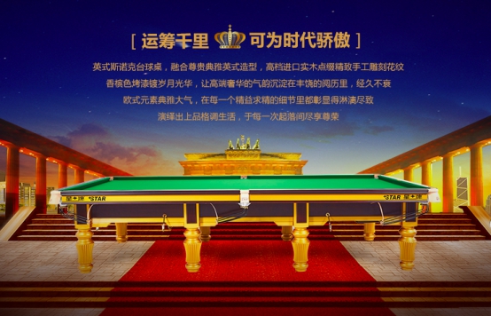 台球桌品牌排行榜_2020年度台球器材热门品牌榜