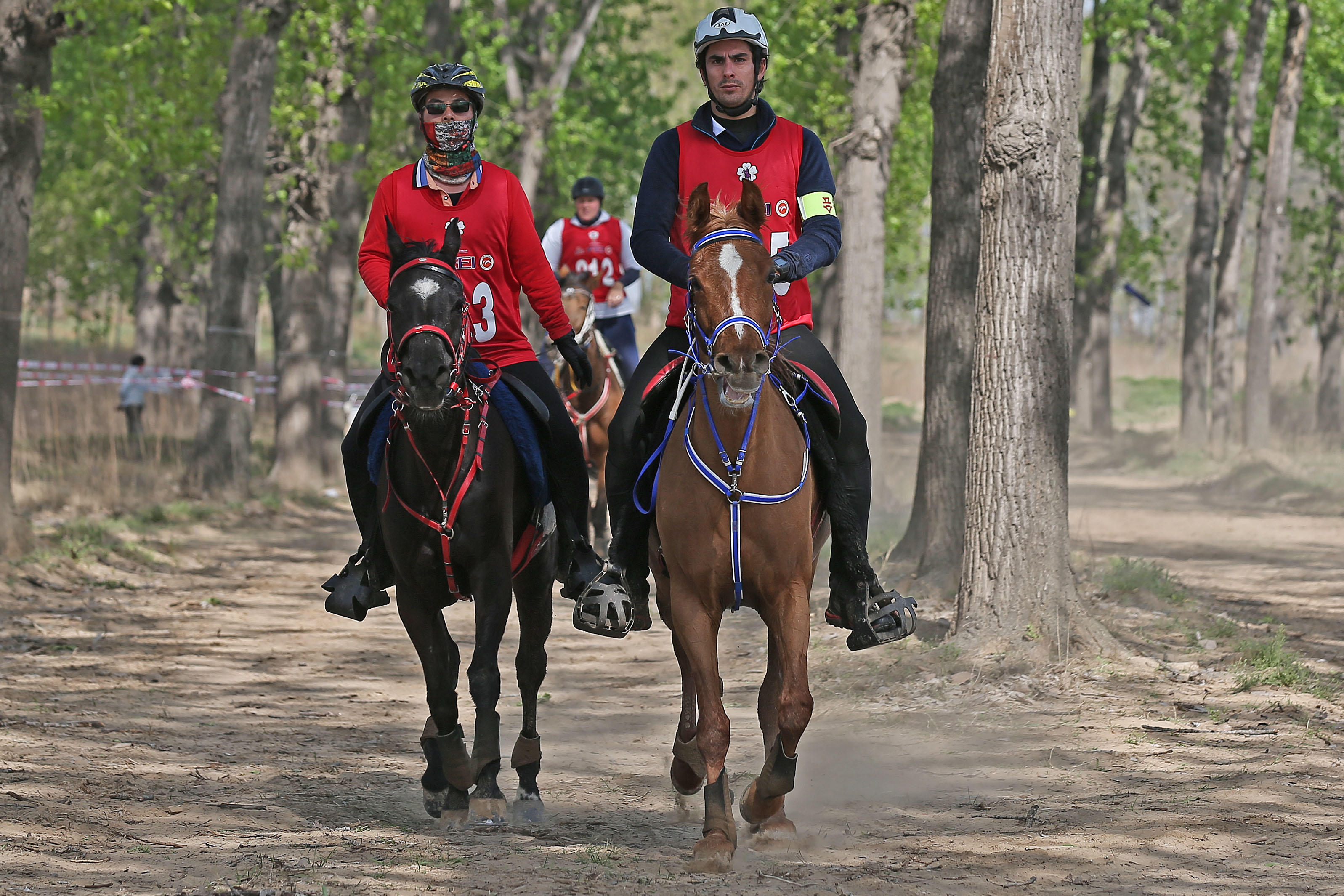 2018砀山春季国际马术耐力赛在黄河故道揭幕