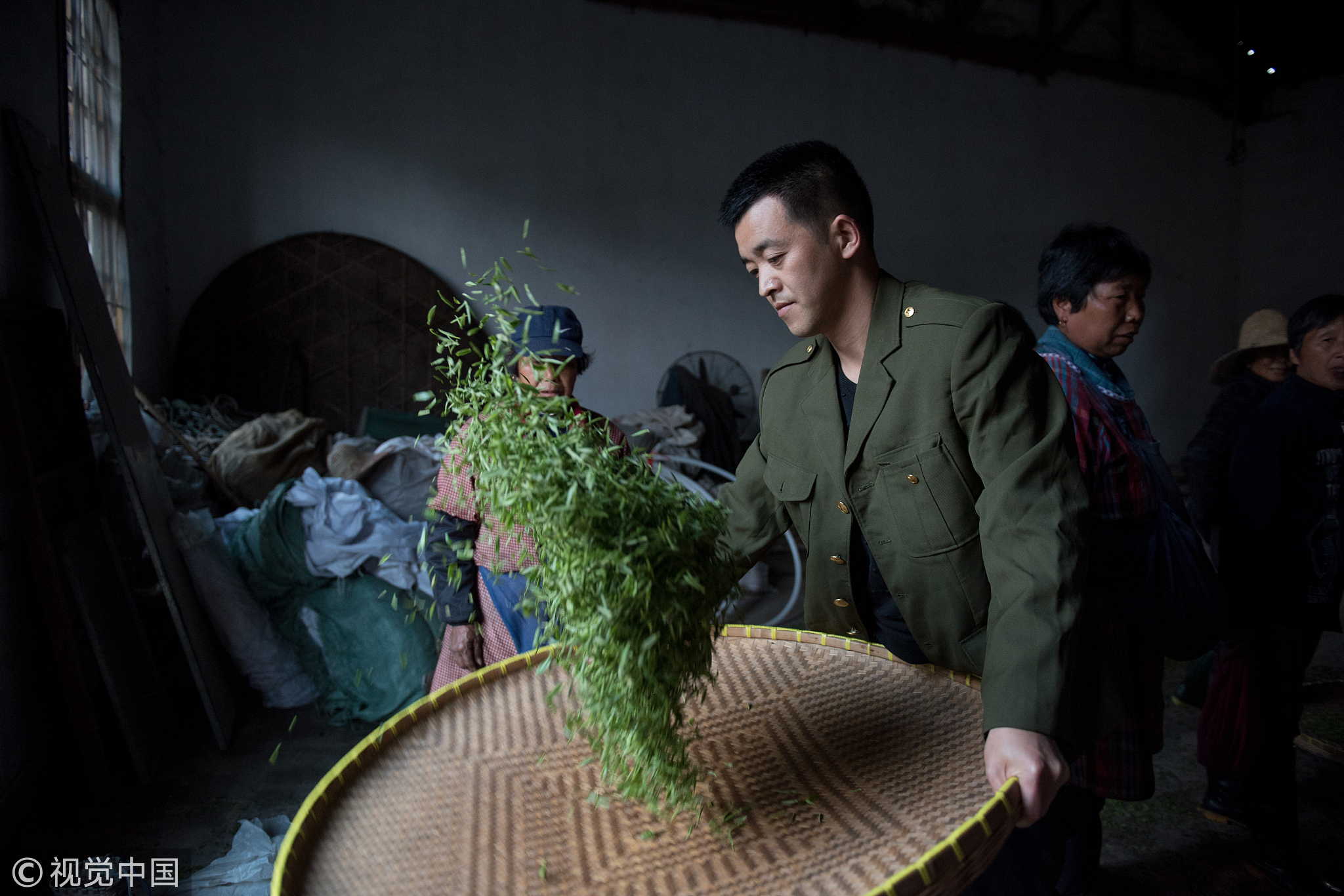 婺源绿茶最大茶厂图片