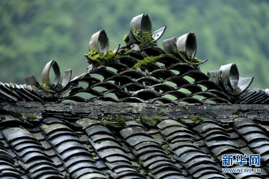这是5月18日拍摄的彭家寨古吊脚楼用布瓦造型的屋脊