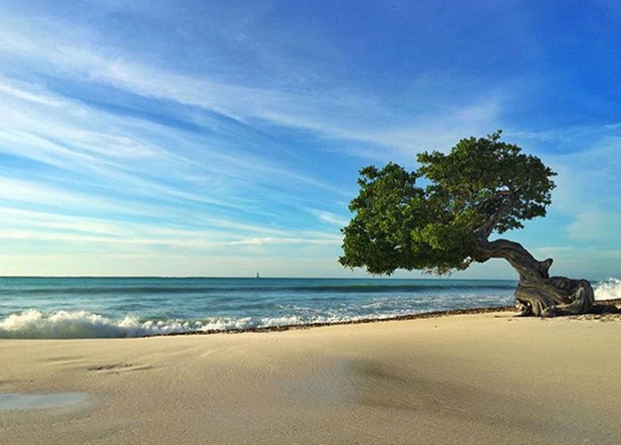 2018全球十大最美海滩榜单出炉 巴西摘得桂冠